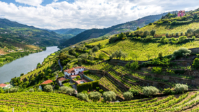 Portugal Douro